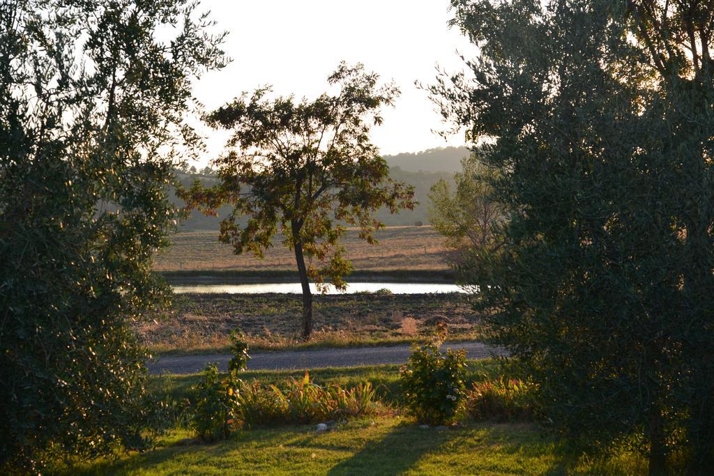 Agriturismo Podere Micitto Usi Szoba fotó