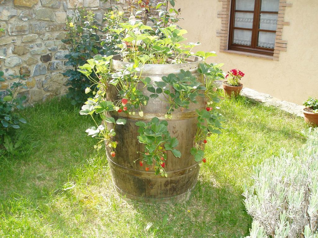 Agriturismo Podere Micitto Usi Kültér fotó