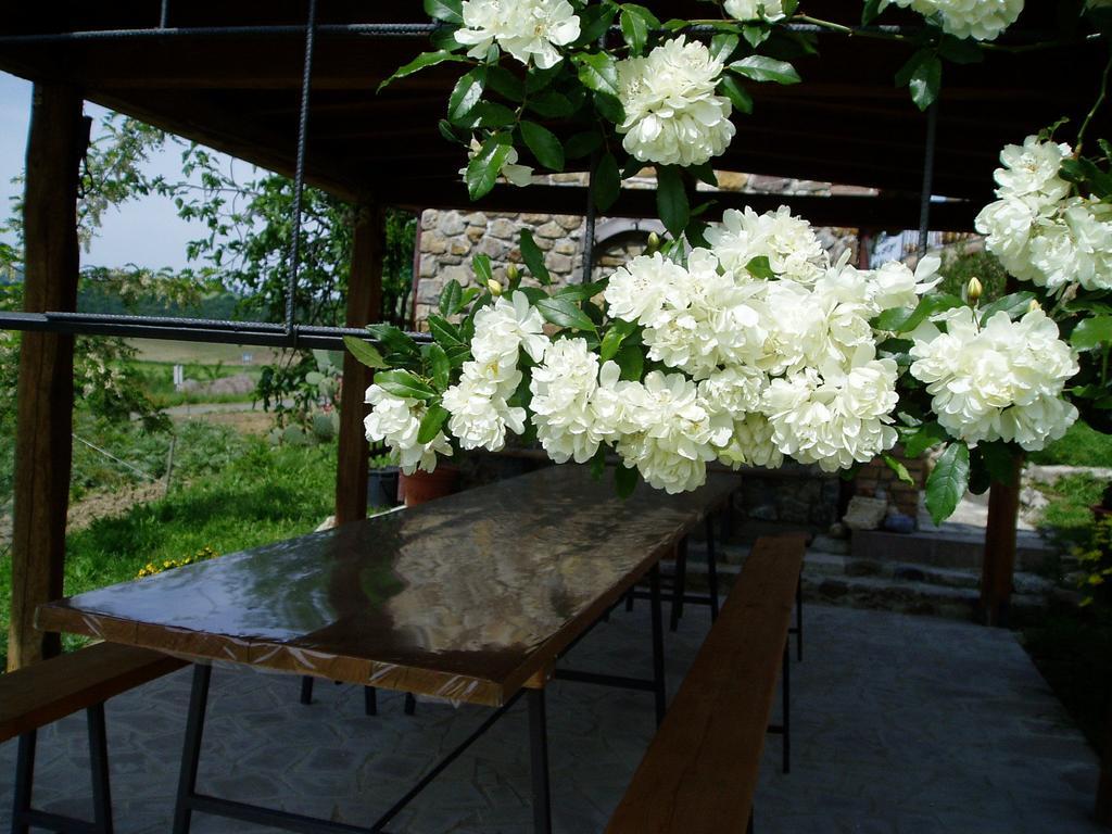 Agriturismo Podere Micitto Usi Kültér fotó