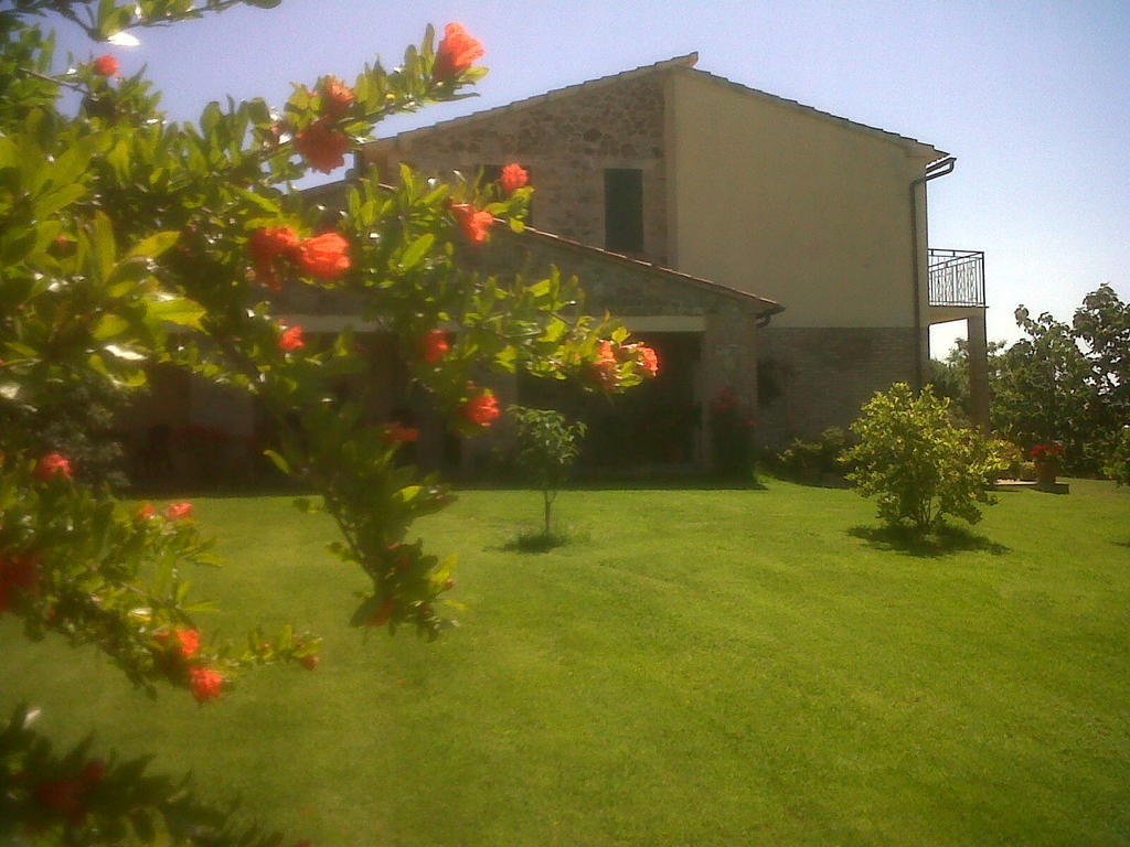 Agriturismo Podere Micitto Usi Kültér fotó