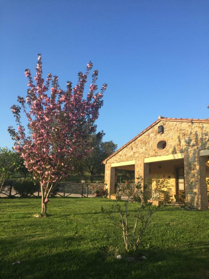 Agriturismo Podere Micitto Usi Kültér fotó